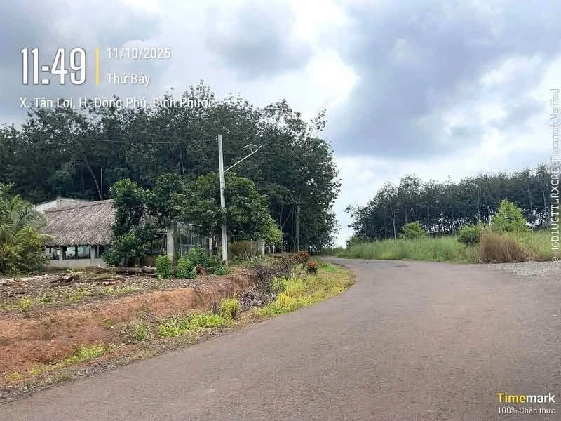 Bán đất nền 100m² sổ sẵn Đồng Phú Bình Dương - Ảnh thu nhỏ 2