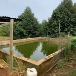 Bán đất 1 mẫu 8 vườn sầu riêng Cẩm Mỹ 11 tỷ - Ảnh thu nhỏ 4