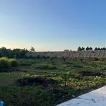Bán đất Suối Chồn 600m² 680 triệu - Ảnh thu nhỏ 1