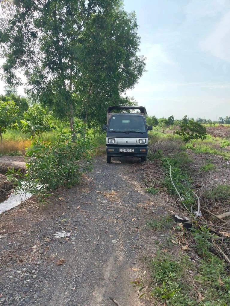 Bán đất ngộp Tân Thành Thủ Thừa 1000m2 giá 425 triệu - Ảnh thu nhỏ 2