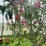 Bán nhà vườn nghỉ dưỡng 1.600m² gần Phan Thiết 1,85 tỷ - Ảnh thu nhỏ 3
