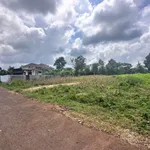Bán lô đất mặt tiền đường nhựa 8m gần 1.500m2 tại Buôn Tăng Ju, Ea Kao, Buôn Ma Thuột - Ảnh thu nhỏ 3