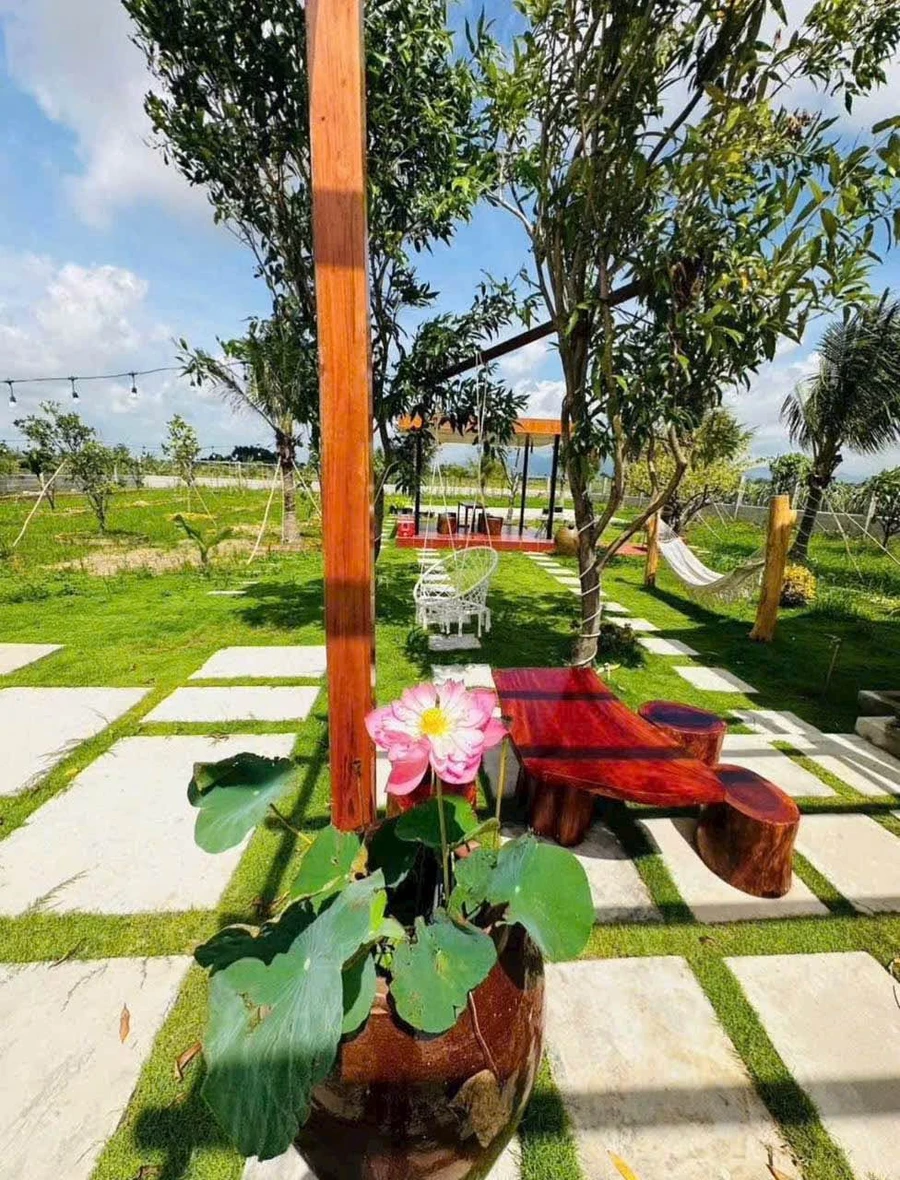 Bán villa nhà vườn 1800m2 Hàm Liêm Bình Thuận - Ảnh thu nhỏ 2