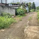 Bán đất Khánh Xuân Nhà Bè 240m2 giá 8xx triệu - Ảnh thu nhỏ 2