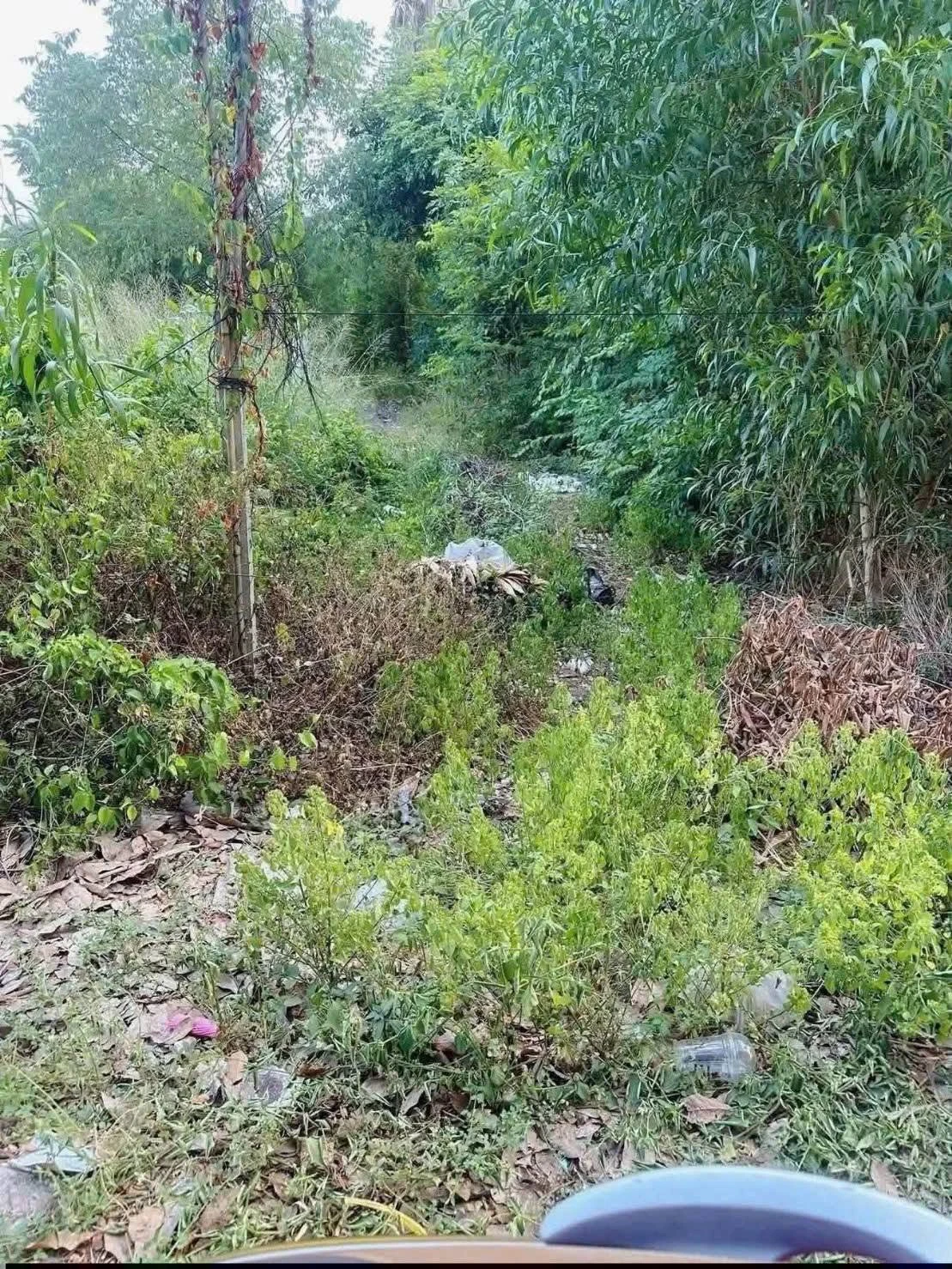 Bán lô đất thổ cư đường nhựa 12m giá 3,5 tỷ tại Phú An - Ảnh 1