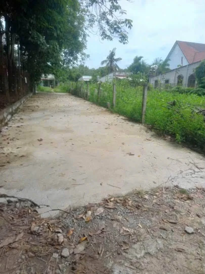 Bán lô đất vườn An Điền 1.465m² giá 2 tỷ 850 - Ảnh thu nhỏ 4