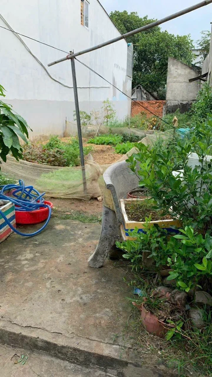 Bán đất 116m² Xã Đại Phước Nhà Bè 1,55 tỷ - Ảnh thu nhỏ 2