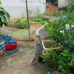 Bán đất 116m² Xã Đại Phước Nhà Bè 1,55 tỷ - Ảnh thu nhỏ 2