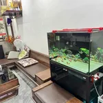 Bán nhà 4 tầng 64m2 4 phòng ngủ Lũng Hoa Hóc Môn - Ảnh thu nhỏ 3