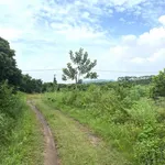 Bán đất 3000m² Bến Tắm Hải Phòng 400 triệu - Ảnh thu nhỏ 2