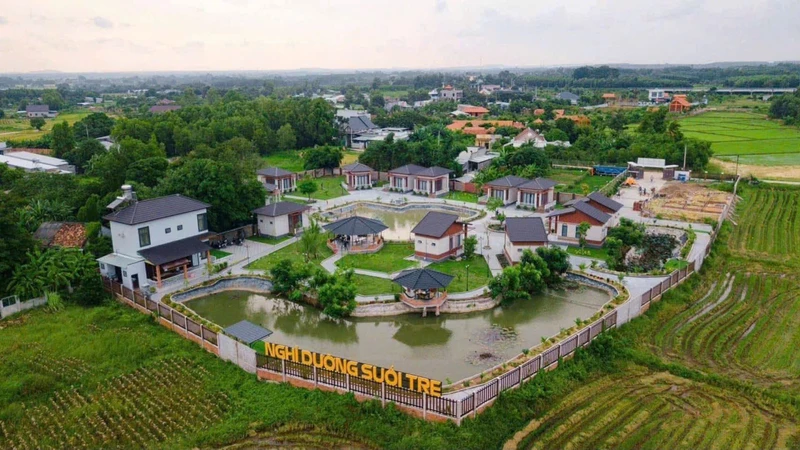 Bán đất Hồ Tràm 1619m² view đồng lúa, giá 4.2 tỷ