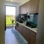 Cho thuê căn hộ chung cư 2 PN, 62m2 tại Aranya CT3 Huế - Ảnh thu nhỏ 1