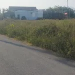 Bán 2 lô đất thổ cư 100% Diên Khánh, 100m² - Ảnh thu nhỏ 4