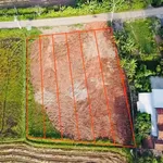 Bán đất mặt tiền Ninh Giang 200m² giá 790 triệu - Ảnh thu nhỏ 2