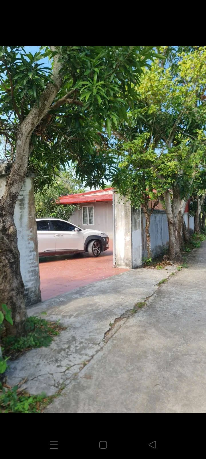 Bán nhà vườn 7.5 sào tại Đồ Sơn, Hải Phòng, 2.9 tỷ - Ảnh 1