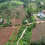 Bán đất nông thôn 1000m² view suối, Ea Tiêu, Đắk Lắk - Ảnh thu nhỏ 5