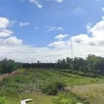 Bán lô đất thổ cư 1843m² mặt tiền Vành đai Mỹ Phú, Long An - Ảnh thu nhỏ 2