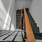 Cho thuê nhà nguyên căn 40m² 2PN Hà Thanh 2, Quy Nhơn - Ảnh thu nhỏ 4