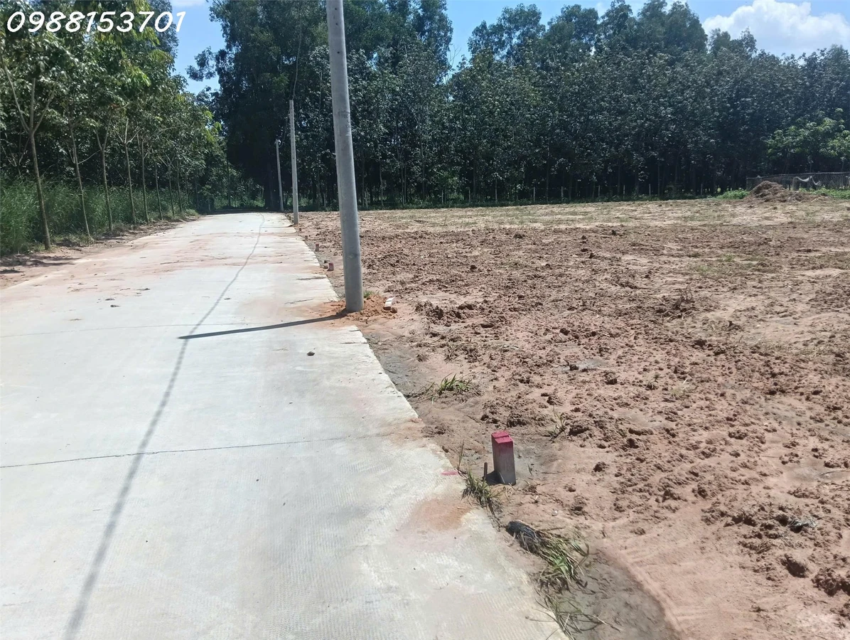 Bán đất tại đường Chánh Phú Hòa 045, phường Chánh Phú Hòa, DT 310m2, pháp lý đầy đủ - Ảnh thu nhỏ 4