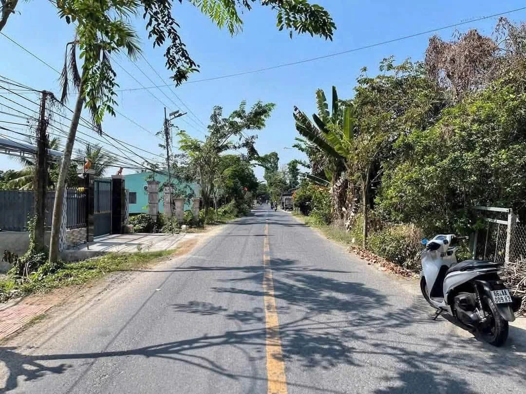Bán đất mặt tiền 1815m2 Lấp Vò, Đồng Tháp, 4 tỷ - Ảnh thu nhỏ 3