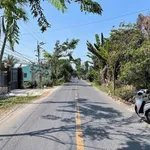 Bán đất mặt tiền 1815m2 Lấp Vò, Đồng Tháp, 4 tỷ - Ảnh thu nhỏ 3