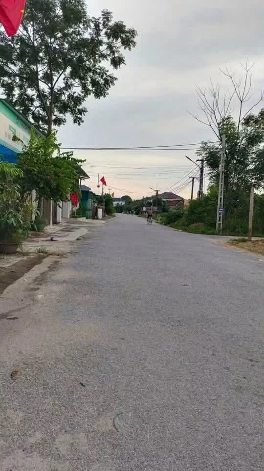 Bán đất kinh doanh 100m² Hóc Môn 2 tỷ - Ảnh 1