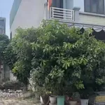 Bán lô đất 85m² KĐT Thái Hà Kinh Môn Hải Phòng giá 1 tỷ - Ảnh thu nhỏ 4