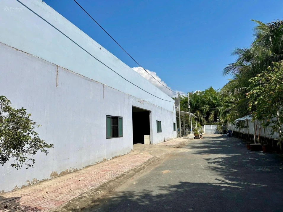 BÁN GẤP SIÊU RẺ MẢNH ĐẤT 2500M2 FULL THỔ - TRƯỜNG AN VĨNH LONG - CHỈ 37 TỶ - Ảnh thu nhỏ 5