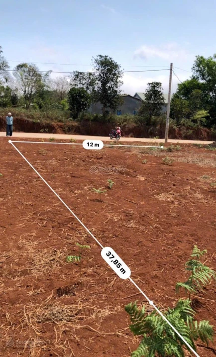 Bán đất nên sát UBND xã Hướng Phùng Quảng Trị. Diện tích 457m2 - Ảnh thu nhỏ 3