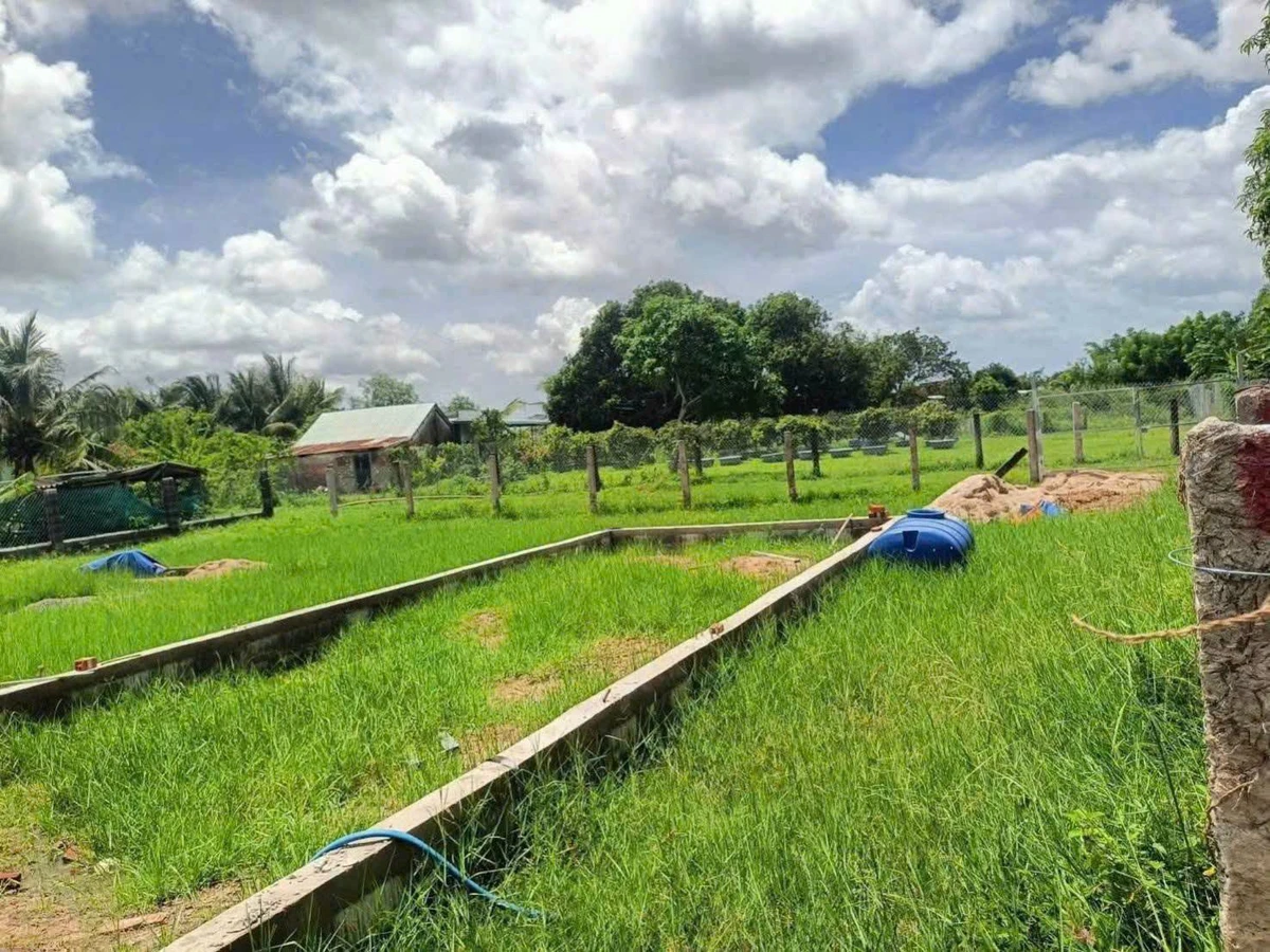 Bán đất 650m² Xã Hàm Liêm, Hà Tĩnh 500 triệu - Ảnh thu nhỏ 3