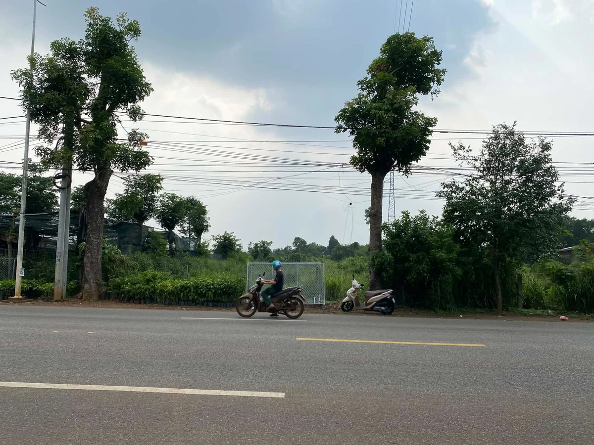 Bán đất mặt tiền 2.162m² Bàu Chinh, Châu Đức, Bà Rịa – Vũng Tàu 9,8 tỷ - Ảnh 1