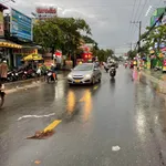 Bán đất mặt tiền Nguyễn Tri Phương, Bình Chánh, 1.518m² - Ảnh thu nhỏ 2