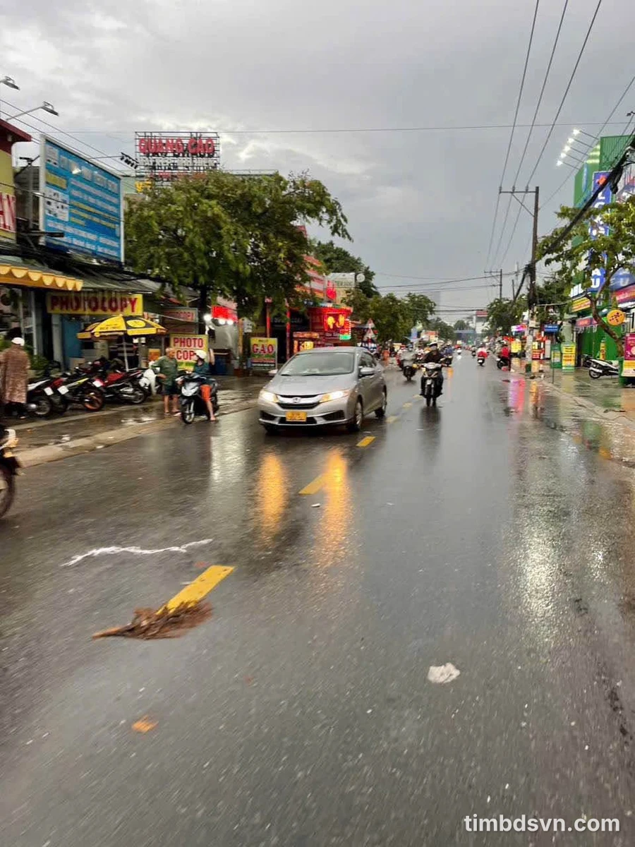 Bán đất mặt tiền Nguyễn Tri Phương, Bình Chánh, 1.518m² - Ảnh thu nhỏ 2