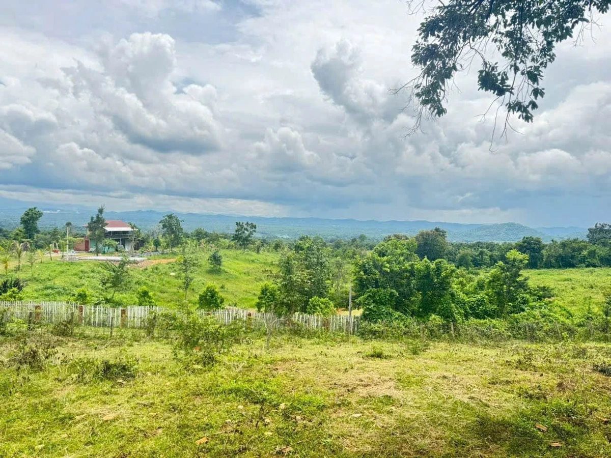 Bán đất 2 hecta Eakao Buôn Mê Thuột, 400 triệu/sào - Ảnh thu nhỏ 2