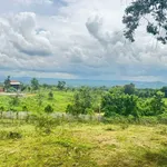 Bán đất 2 hecta Eakao Buôn Mê Thuột, 400 triệu/sào - Ảnh thu nhỏ 2