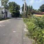 Bán đất 5x37m có 100m2 thổ cư tặng nhà tiền chế đường Phim Trường, Phú An - Ảnh thu nhỏ 3