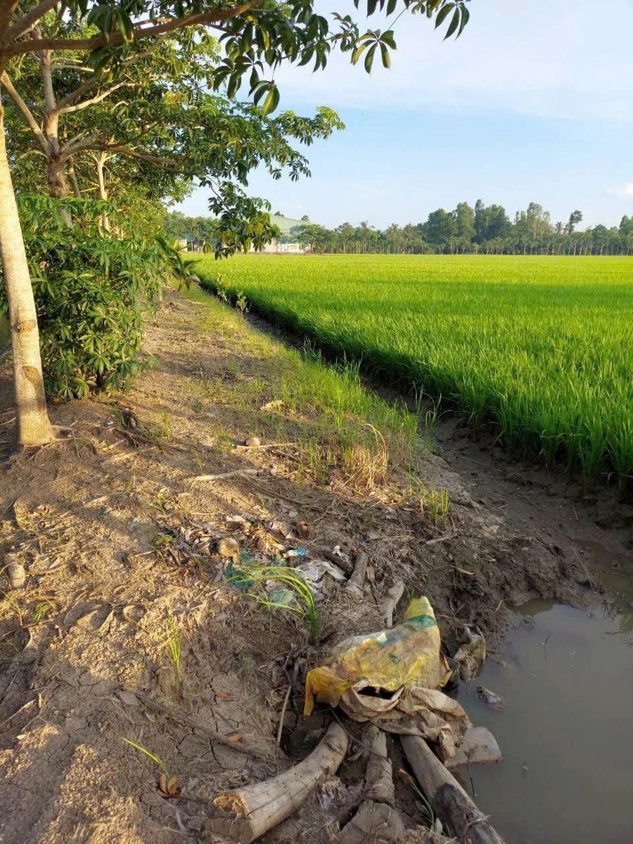 Bán 18 công đất lúa Kênh 5 Hóc Môn, 18.432m2, sổ riêng - Ảnh thu nhỏ 2