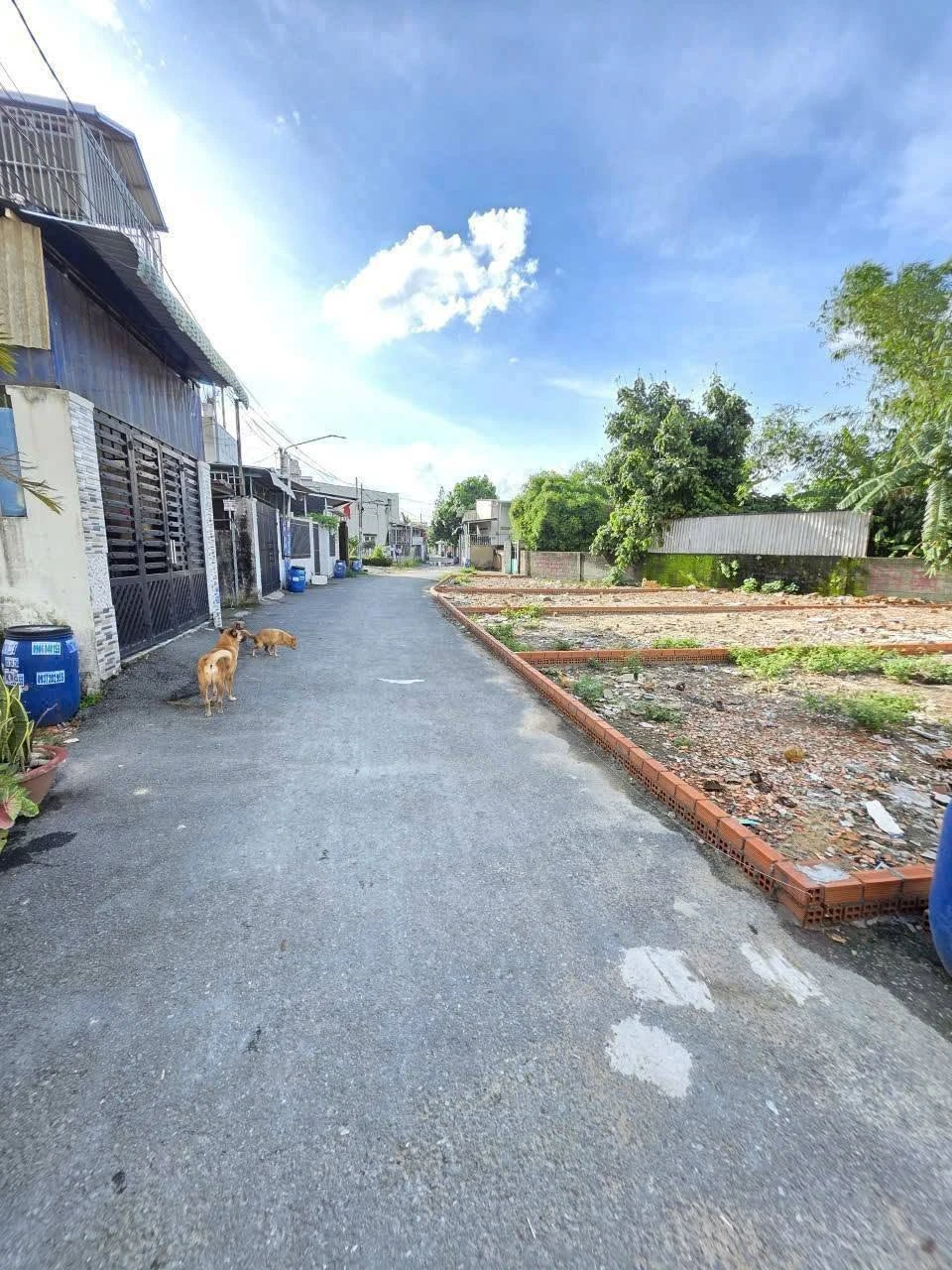 Bán lô đất 78,5m2 gần chợ Dĩ An, giá 2,4 tỷ - Ảnh 1