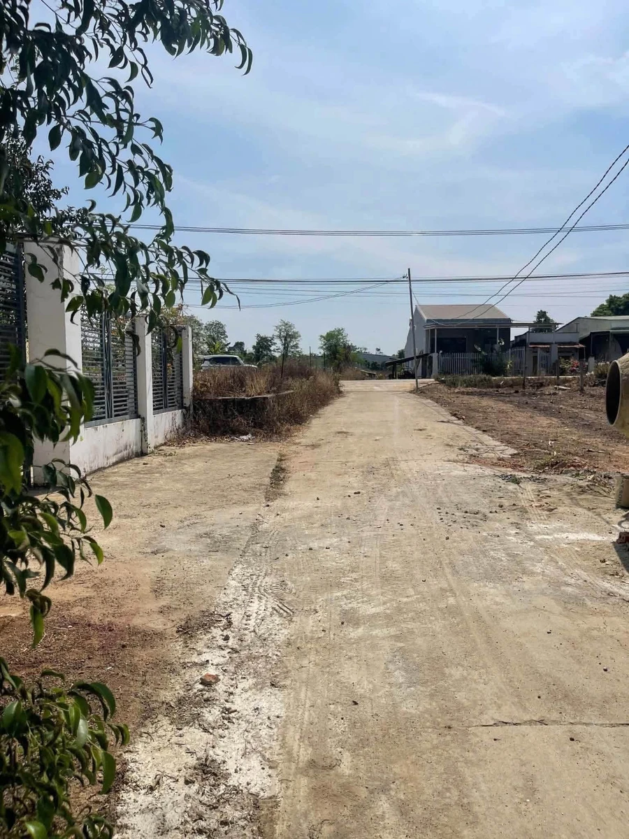 Bán đất hẻm ô tô 5x24m Bình Tân 830 triệu - Ảnh thu nhỏ 3