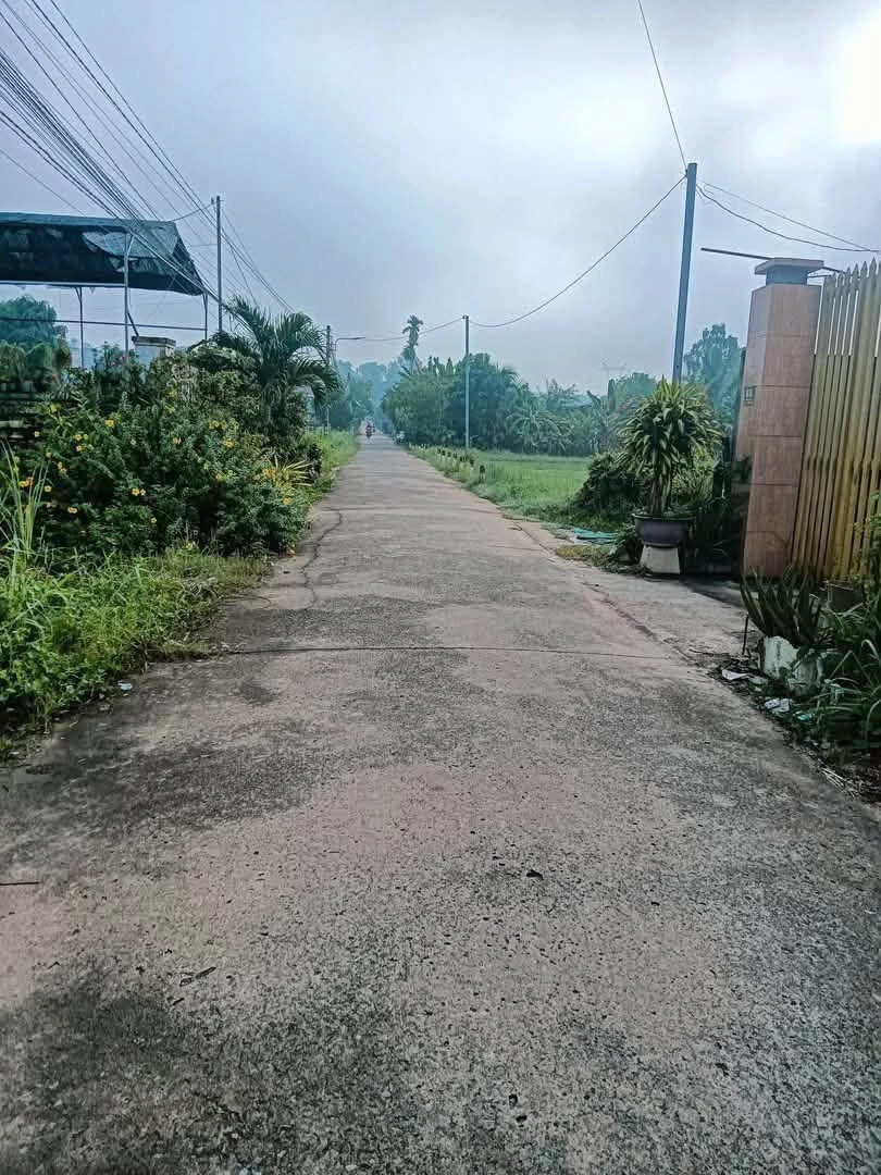 Bán đất mặt tiền 150m² Tân An Bình Dương - Ảnh thu nhỏ 2