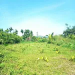 Bán đất 5000m² có nhà kho tại Bảo Lộc, giá 6 tỷ 5 - Ảnh thu nhỏ 5