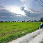 Bán 1000m² đất Mỹ Hạnh Nam, Bình Chánh 3.8 tỷ - Ảnh thu nhỏ 5