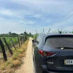 Bán 1552m2 đất vườn có nhà - Lương Cang, Đông Vinh - Phan Rang - 990tr bao sổ - Ảnh thu nhỏ 9