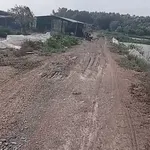 Bán đất 8500m² tại Ba Tri, Bến Tre giá 1 tỷ 20 triệu - Ảnh thu nhỏ 2
