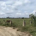 Bán đất mặt tiền 26m tại Nhà Bè, diện tích 2000m², giá 500 triệu - Ảnh thu nhỏ 2