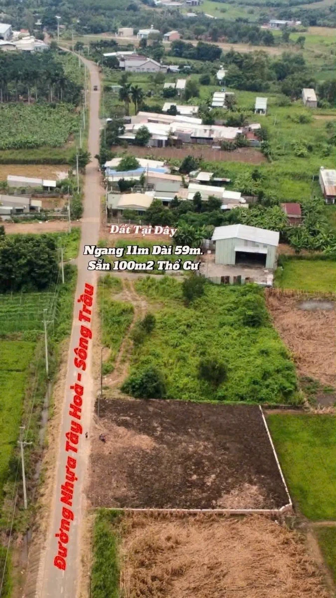 Bán đất 540m² Trảng Bom Đồng Nai 1 tỷ 700 - Ảnh thu nhỏ 3
