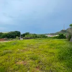 Bán đất 512.6m² Long Hải, Phú Quý, sổ hồng riêng - Ảnh thu nhỏ 2