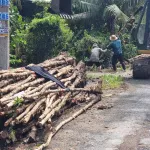 Bán đất giá rẻ đường 3/2 cặp bên công an huyện Huyện Châu Thành cũ - Ảnh thu nhỏ 6