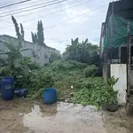 Bán lô đất 196m2 gần KCN Hố Nai Bình Dương 490 triệu - Ảnh thu nhỏ 3