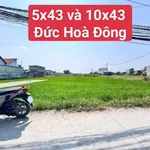 Bán đất Đức Hòa Đông 215m² giá 1,19 tỷ - Ảnh thu nhỏ 1